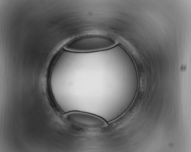 X0000102760436200808180935