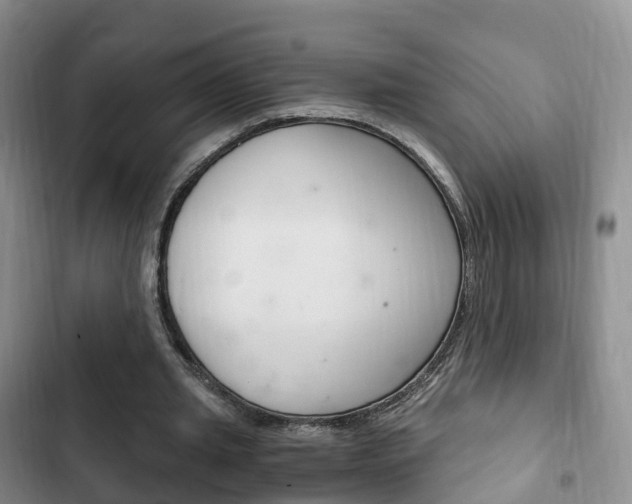 X0000102760437200808180935