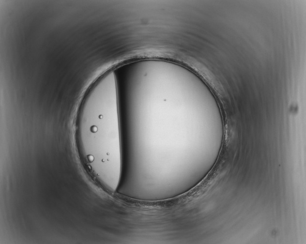 X0000102760438200808180935