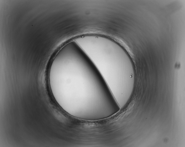 X0000102760439200808180935