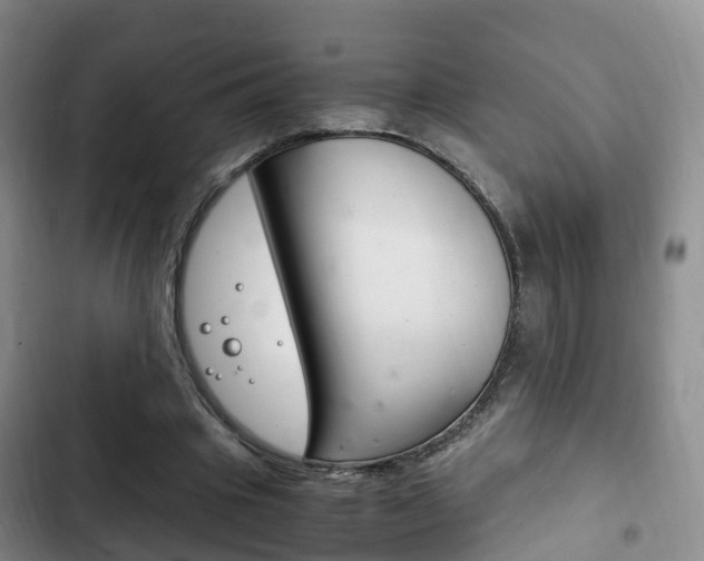 X0000102760441200808180935