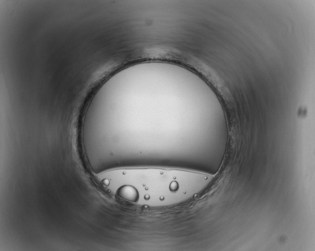 X0000102760442200808180935