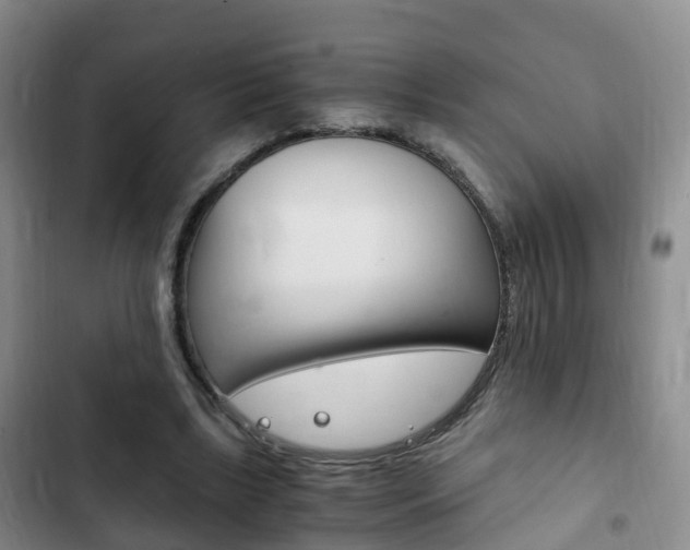 X0000102760443200808180935