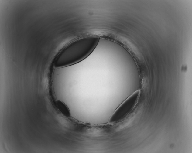 X0000102760444200808180935