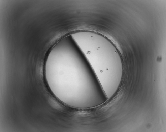 X0000102760445200808180935