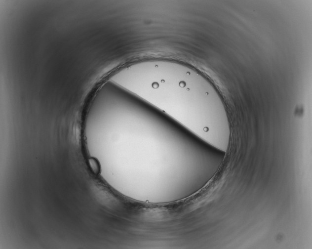 X0000102760446200808180935