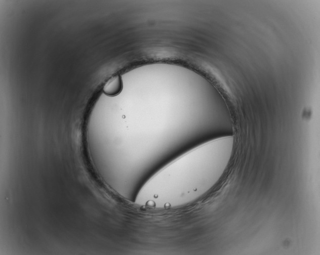 X0000102760447200808180935
