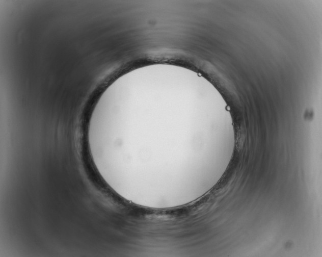 X0000102760448200808180935