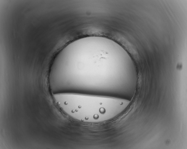 X0000102760449200808180935