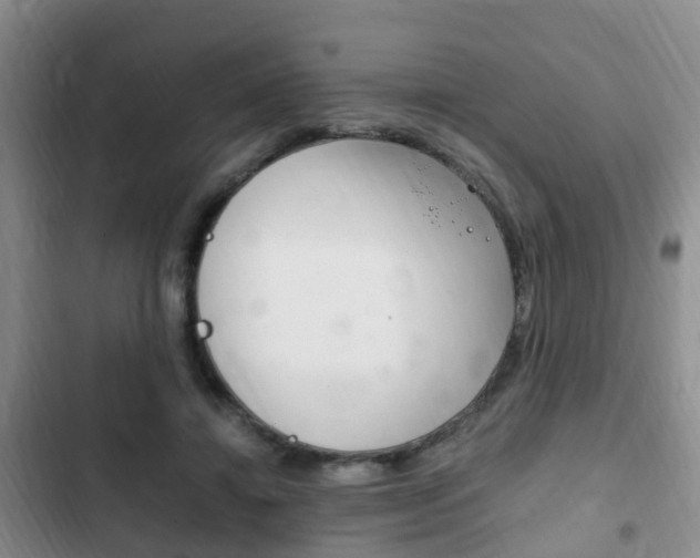 X0000102760452200808180935