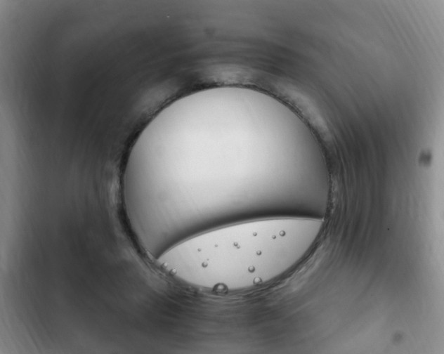 X0000102760453200808180935