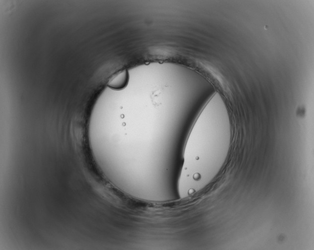 X0000102760455200808180935