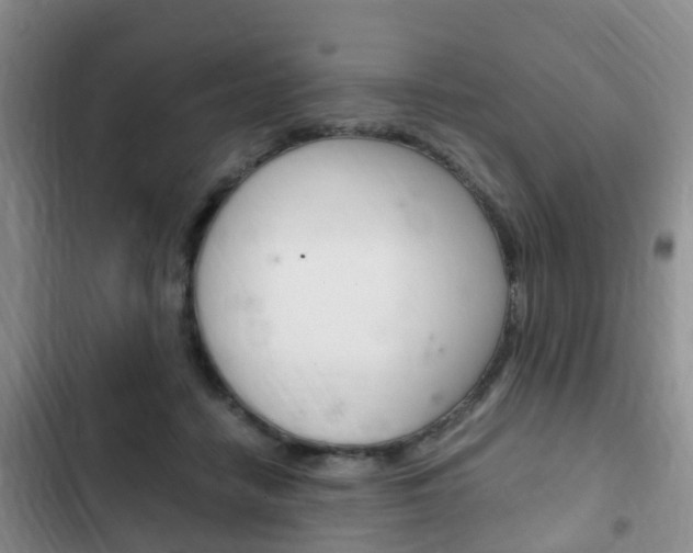X0000102760458200808180935