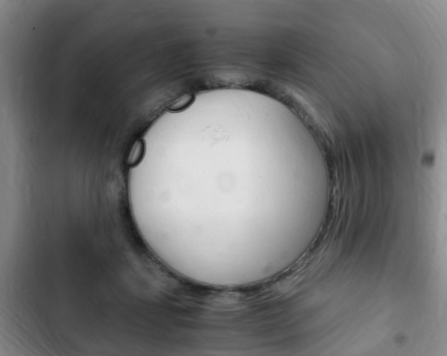 X0000102760459200808180935