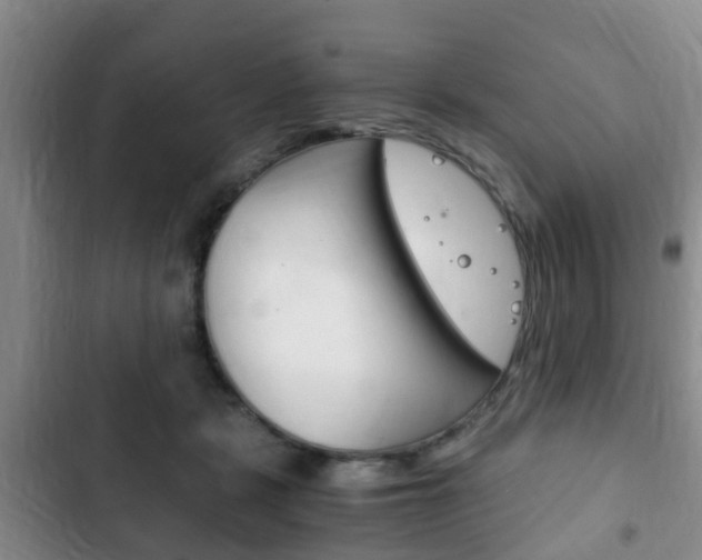 X0000102760461200808180935