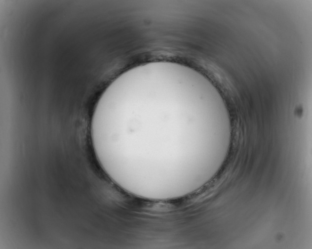 X0000102760463200808180935
