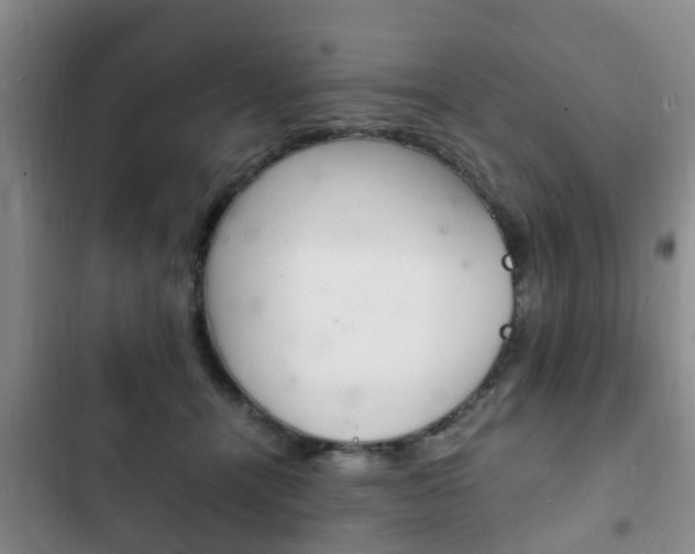 X0000102760464200808180935