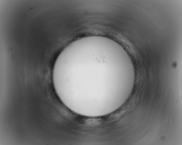 X0000102760465200808180935