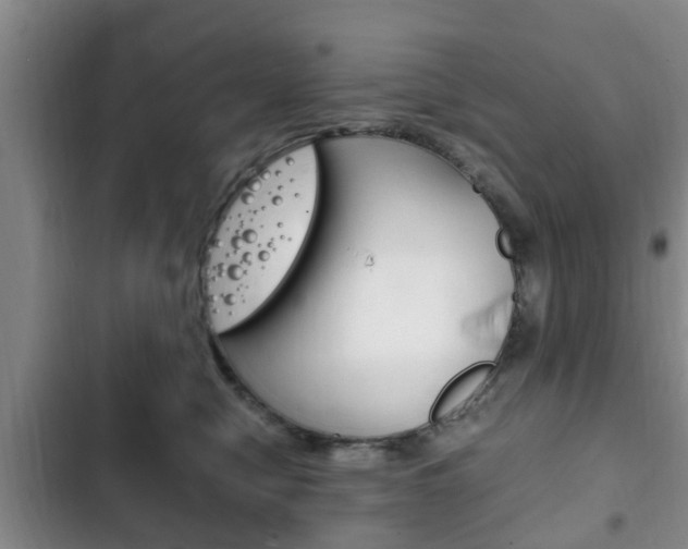 X0000102760470200808180935