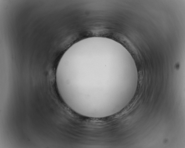 X0000102760471200808180935