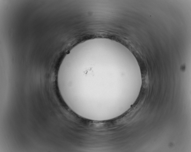X0000102760472200808180935