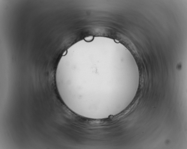 X0000102760473200808180935