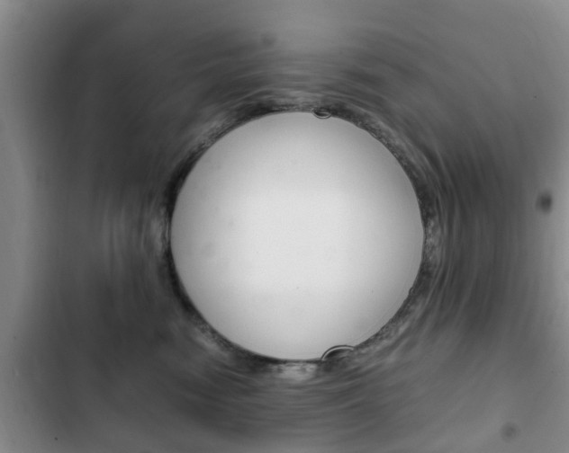 X0000102760474200808180936