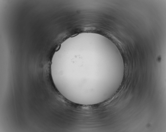 X0000102760475200808180936