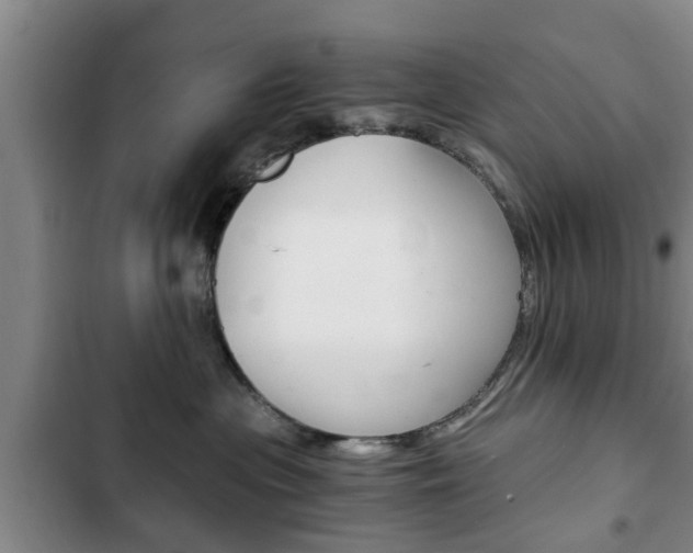 X0000102760477200808180936
