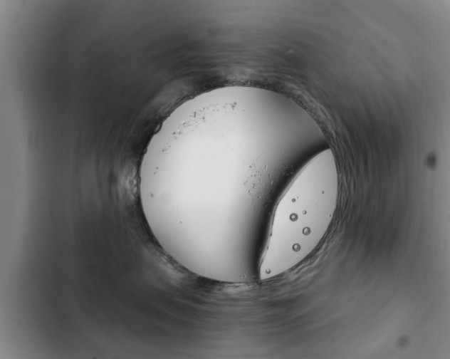 X0000102760479200808180936