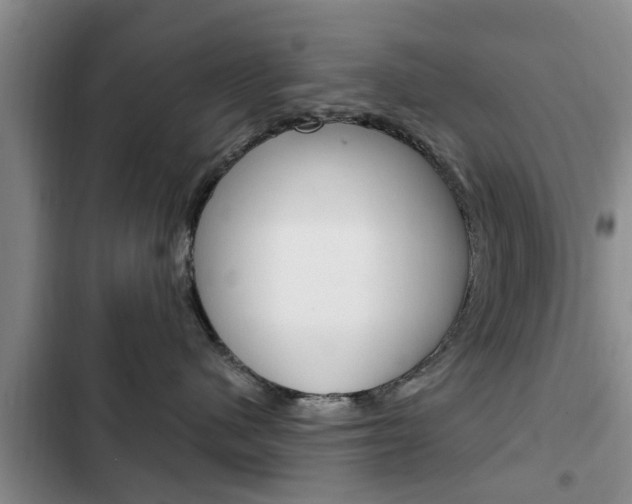 X0000102760480200808180936