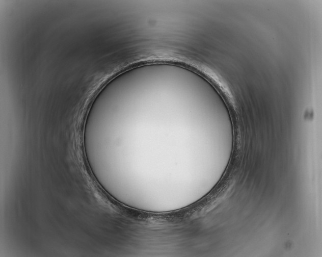 X0000102760481200808180935