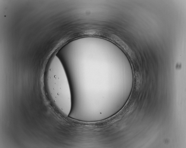 X0000102760482200808180935