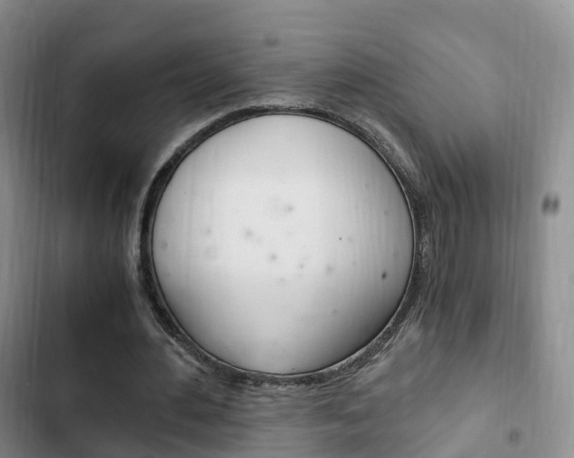 X0000102760484200808180935