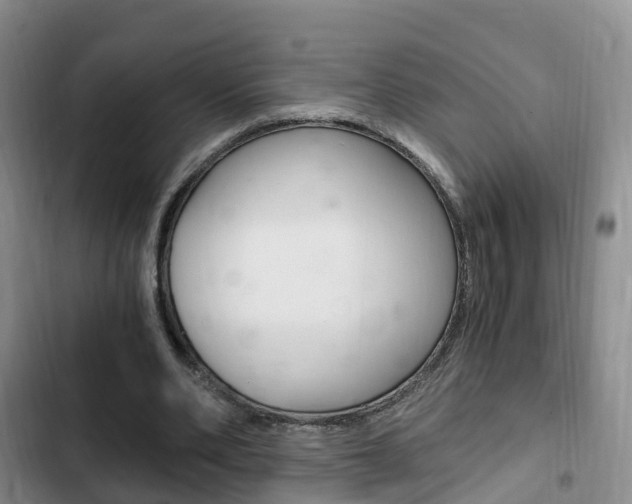 X0000102760486200808180935