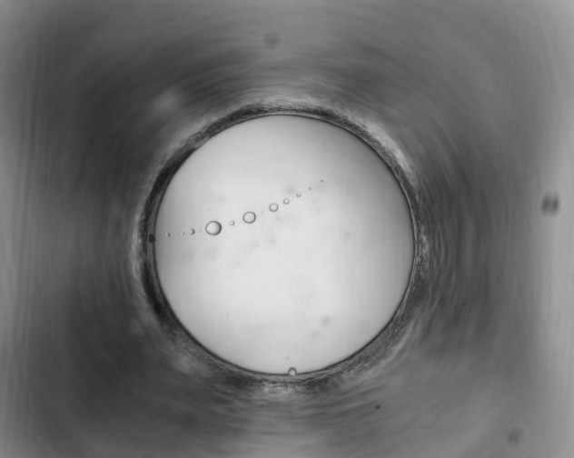 X0000102760487200808180935