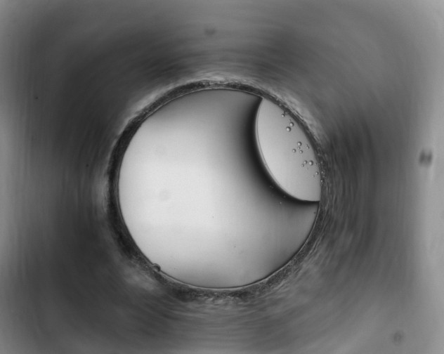 X0000102760488200808180935