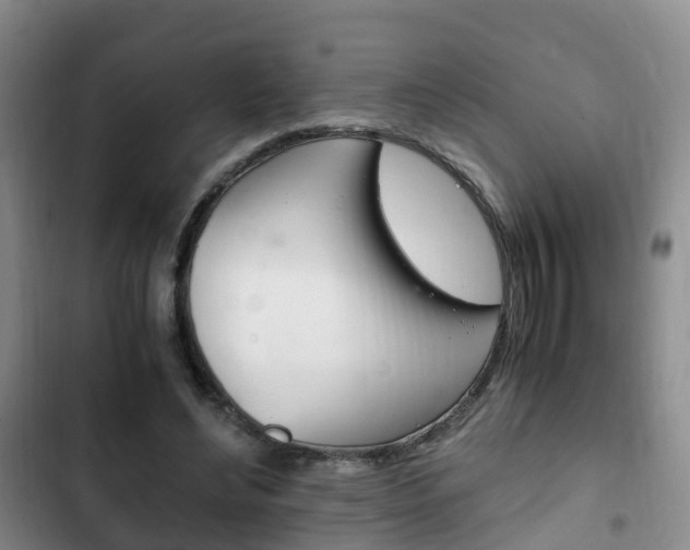 X0000102760492200808180935