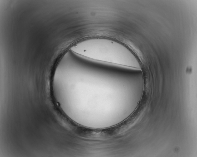 X0000102760493200808180935