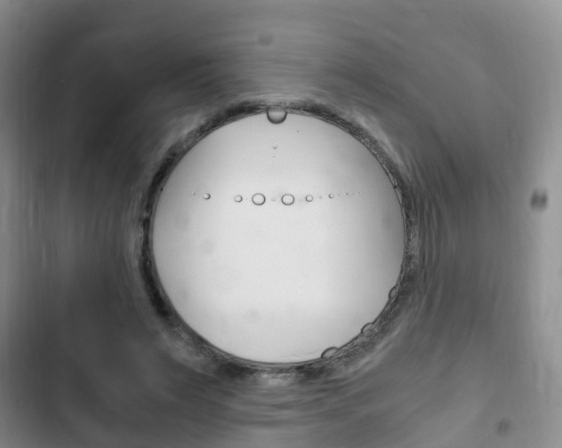 X0000102760495200808180935