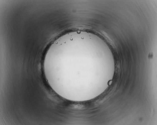 X0000102760500200808180934