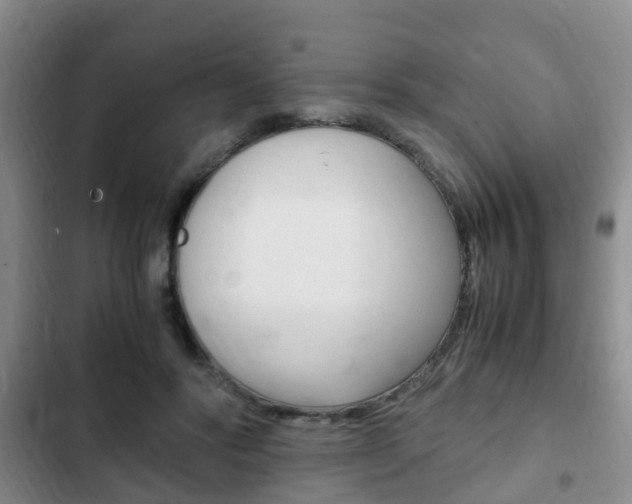 X0000102760502200808180934