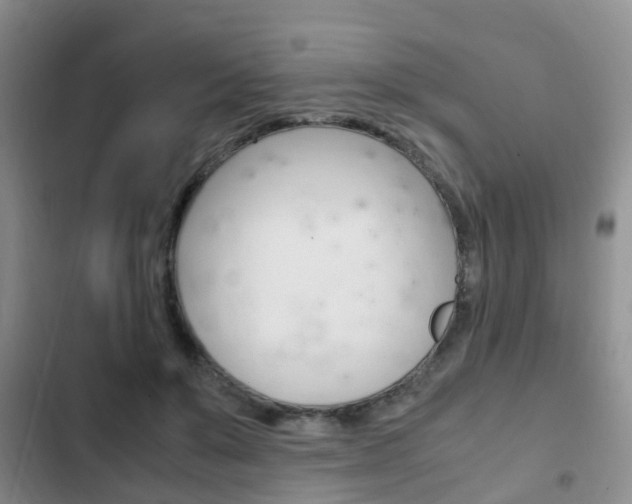 X0000102760503200808180934