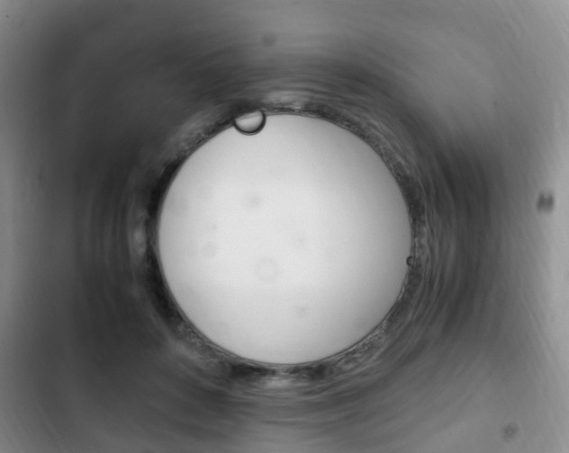 X0000102760504200808180934