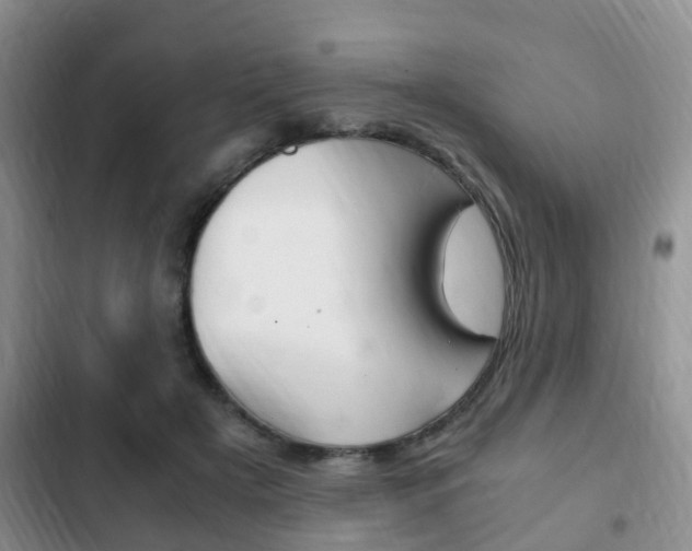 X0000102760505200808180934
