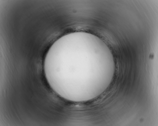 X0000102760506200808180934