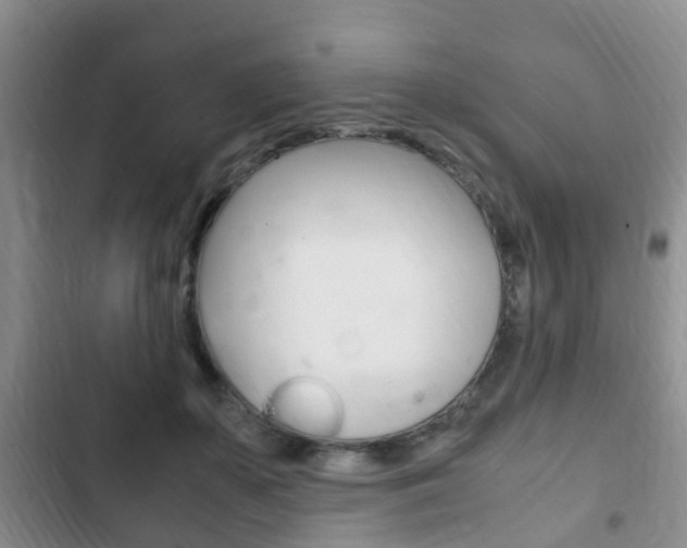 X0000102760507200808180934