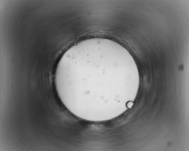 X0000102760508200808180934