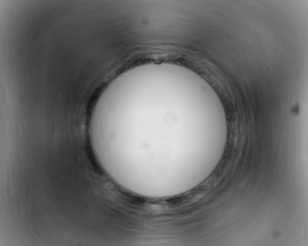 X0000102760510200808180934