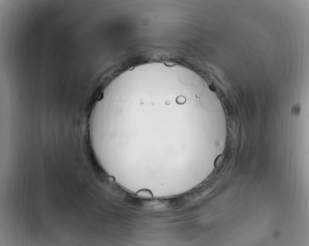 X0000102760511200808180934